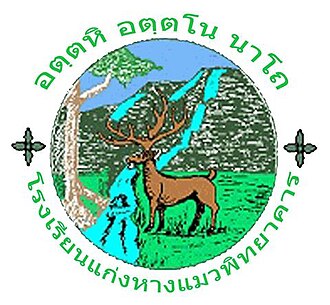 โลโก้ทีมแก่งหางแมวพิทยาคาร
